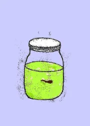 オタマジャクシ、2009（紙に油とインク）